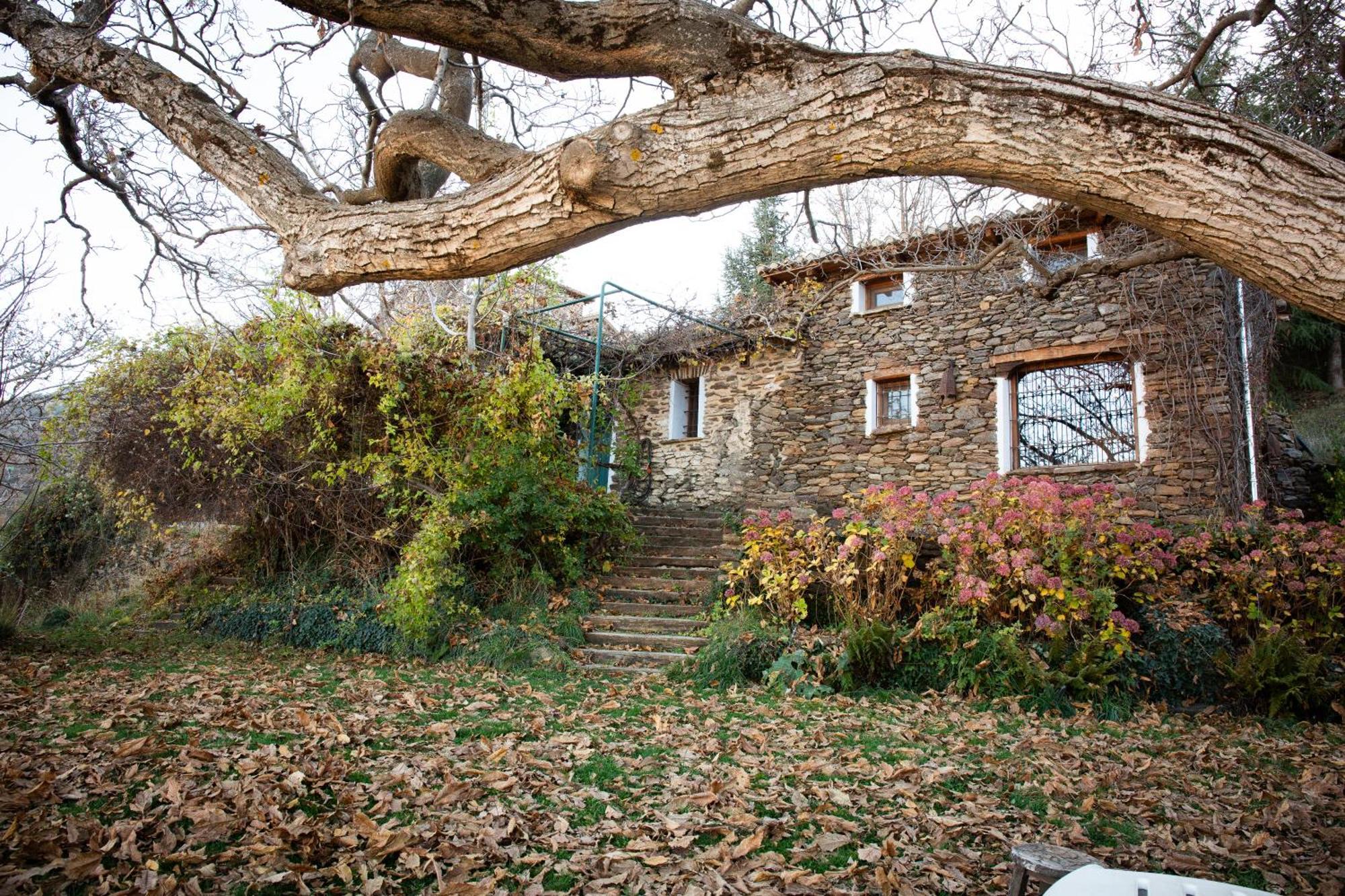 Вілла La Casa Del Nogal Гуехар-Сьєрра Екстер'єр фото
